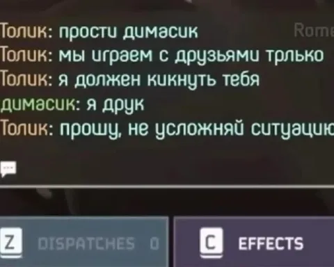 Прости, Димасик, я должен кикнуть