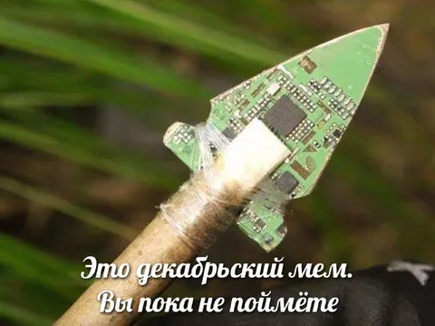 Декабрьский мем про насекомое