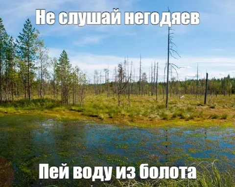Пей воду из болота