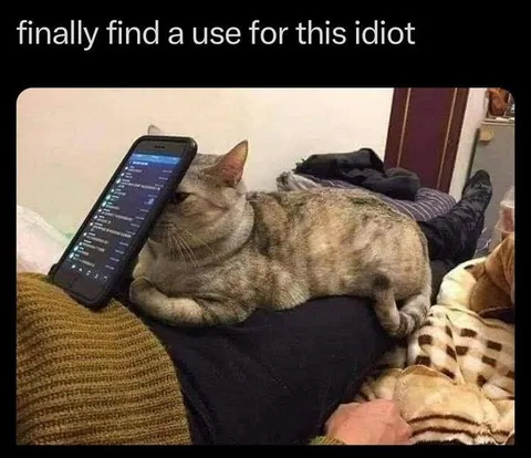 Finally a Use for This Idiot