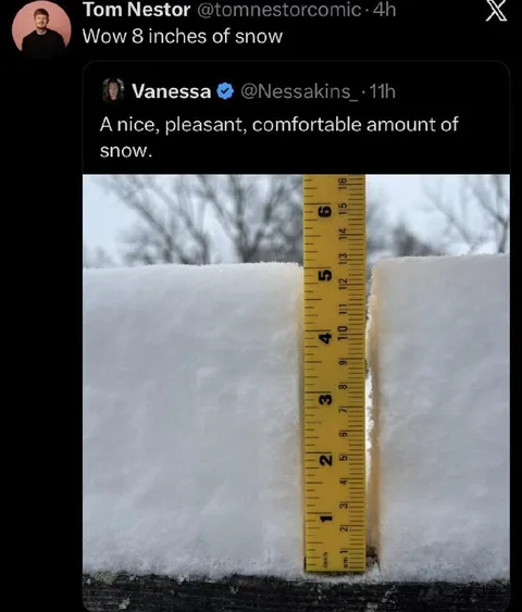 Eight Inches of Snow