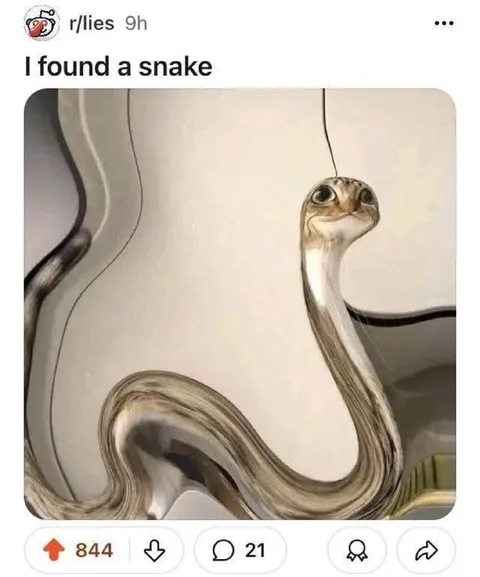 I Found a Snake