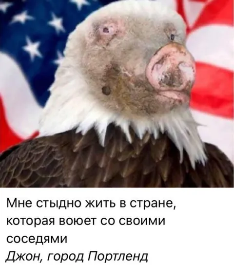 Мне стыдно жить в стране