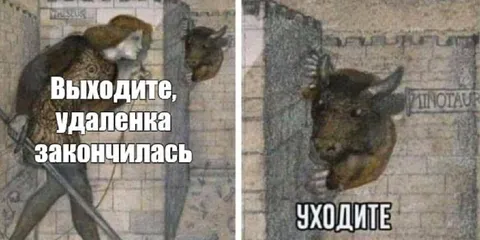 Удаленка закончилась — выходите