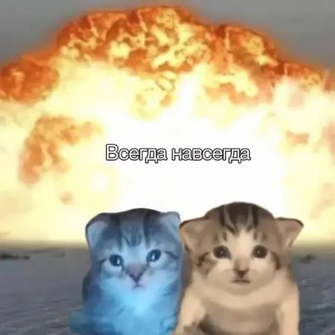 Всегда навсегда вместе
