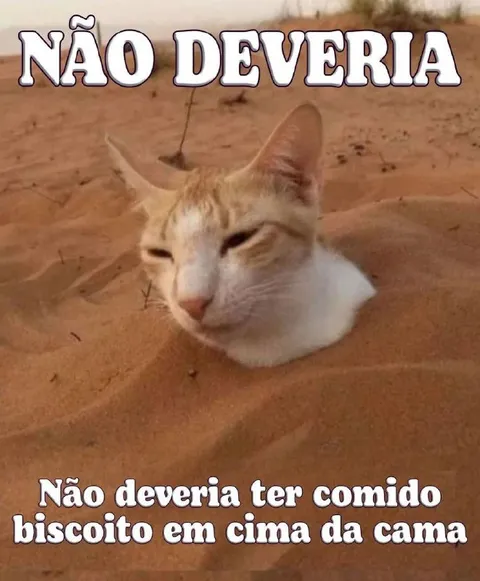Gato arrependido do biscoito