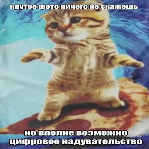 Крутое фото ничего не скажешь