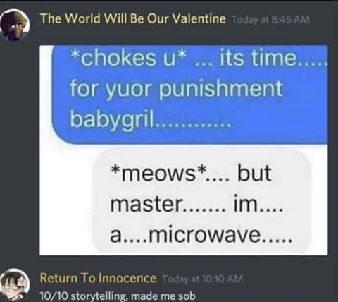 Cat Punishment Microwave Chat