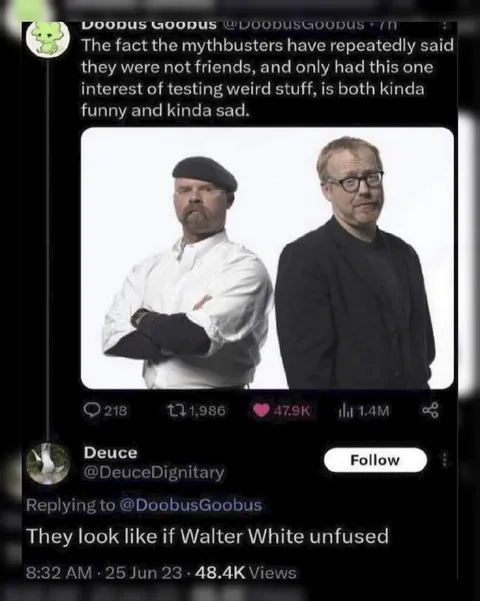 MythBusters Look Like Walter White Unfused