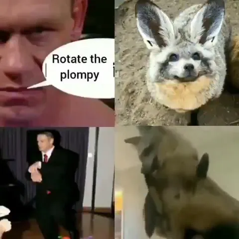 Rotate the plompy dance