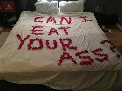 Can I Eat Your Ass