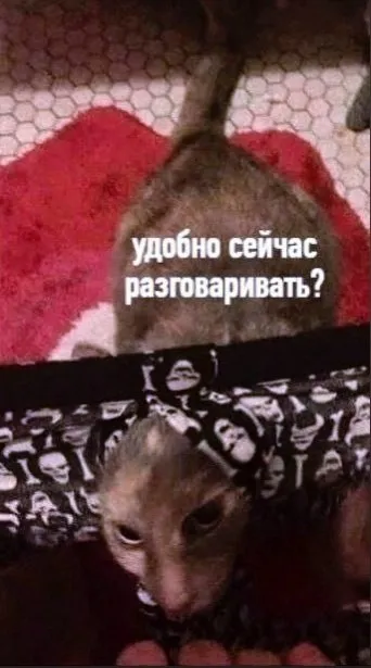 Удобно сейчас разговаривать?
