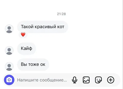 Такой красивый кот