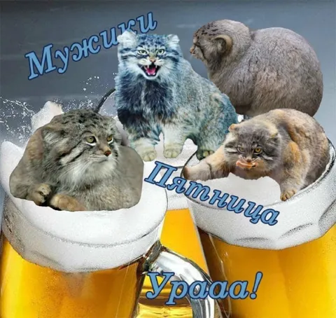Мужики, пятница, ура!