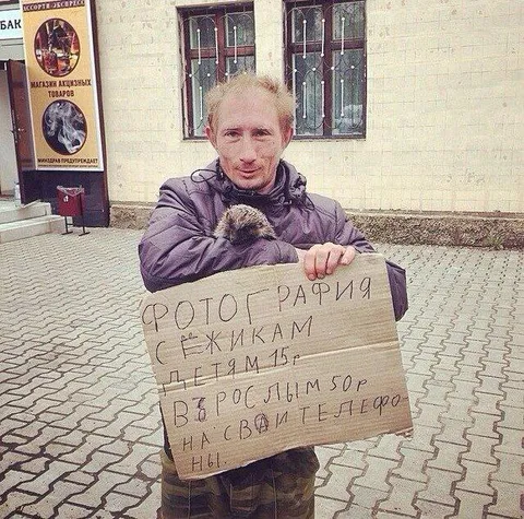 Фотография с ёжиком