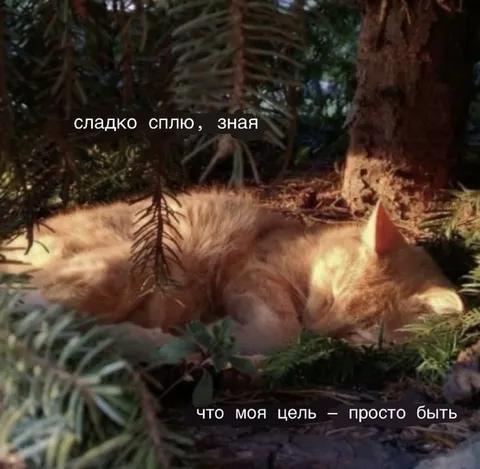 Моя цель — просто быть