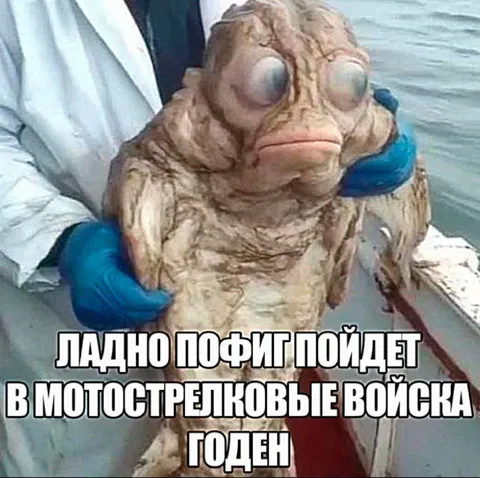 Годен в мотострелковые войска