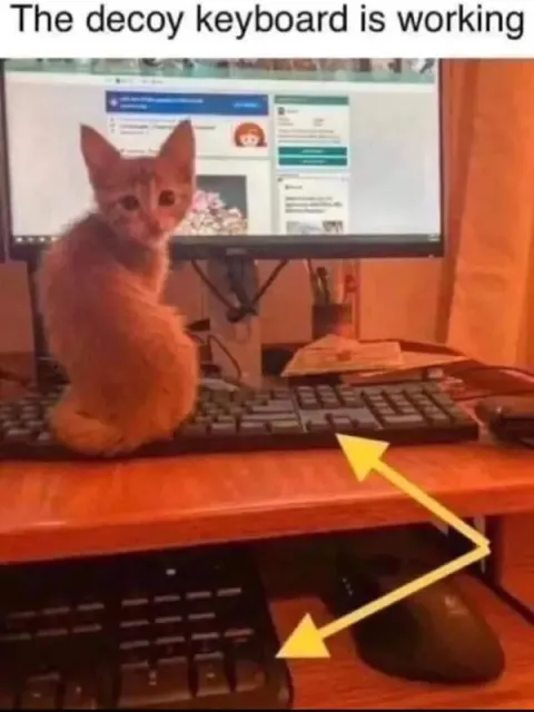 The Decoy Keyboard Is Working