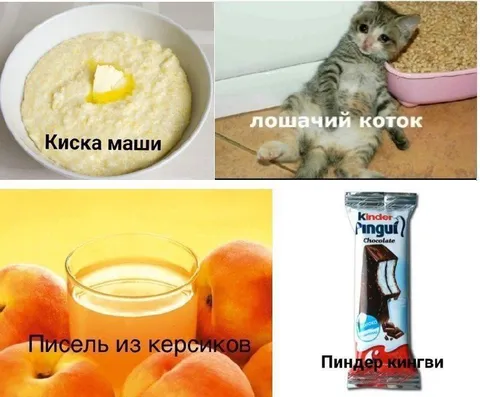Нелепые подписи к картинкам