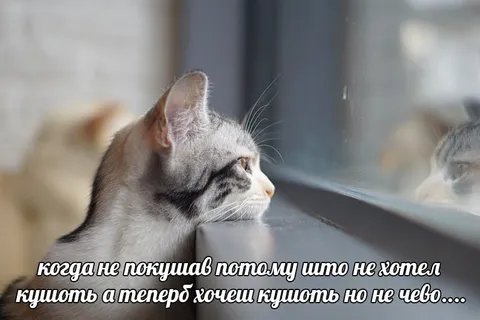Когда хотел поесть, но нечего