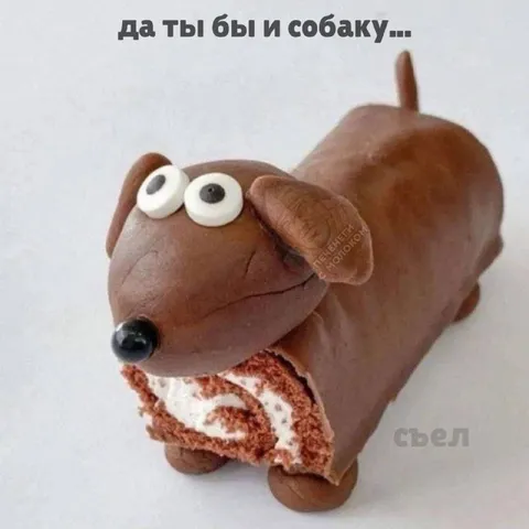 Да ты бы и собаку съел