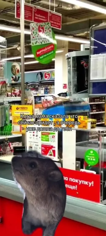 Очередь дошла до тебя