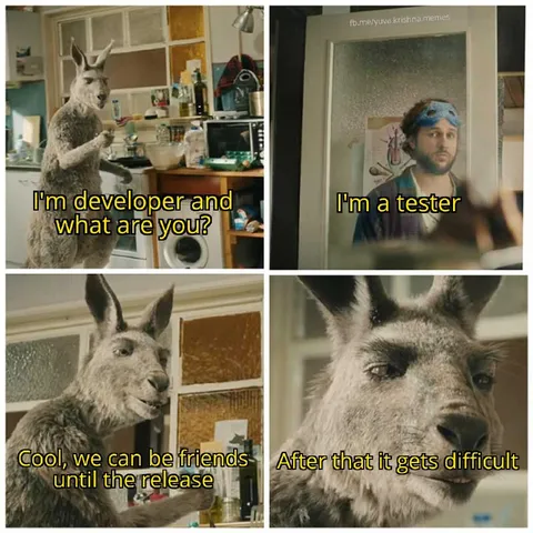 Developer Meets Tester