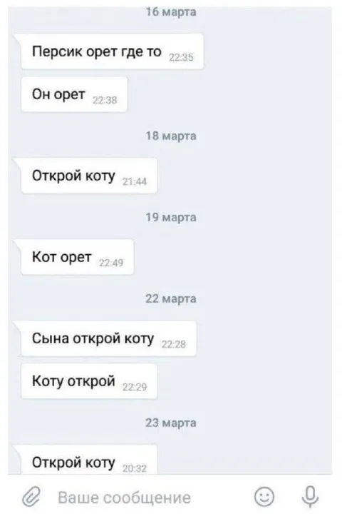 Открой коту уже наконец