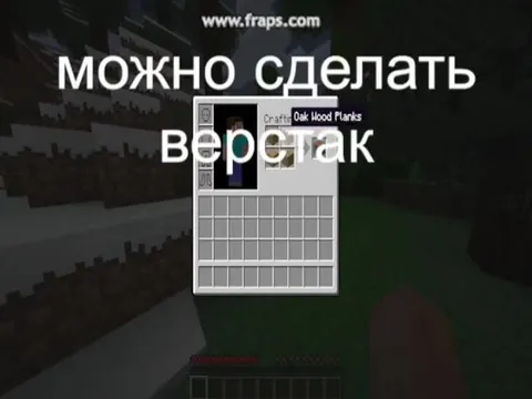 Это не бамбук, а тростник