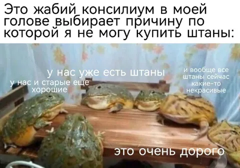 Жабий консилиум о штанах