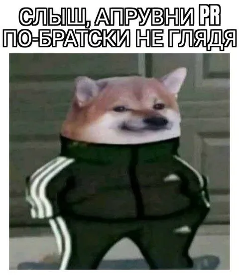 Доге в спортивном костюме