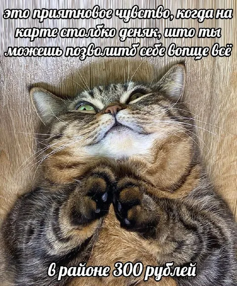 На карте 300 рублей