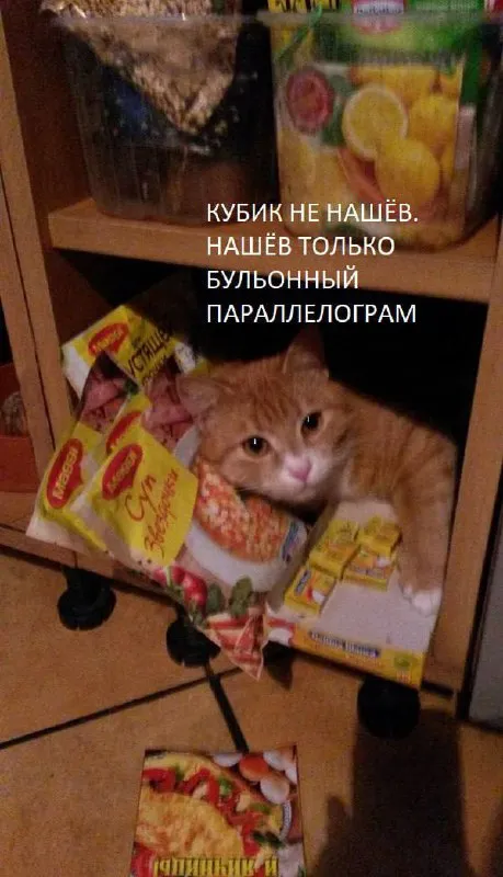 Кот нашёл только бульонный параллелограмм