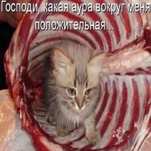 Положительная аура вокруг меня