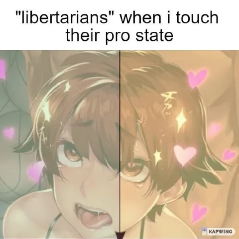 Libertarians Touch Their Pro State
