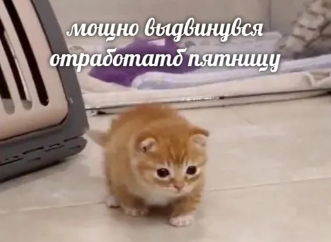 Мощно выдвинувся отработать пятницу