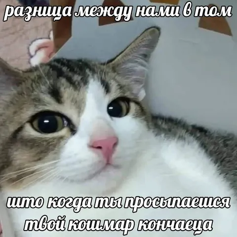 Когда кошмар заканчивается