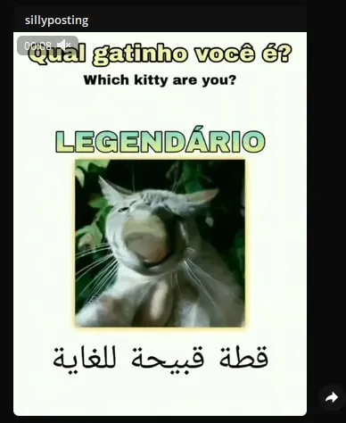 Qual gatinho você é?