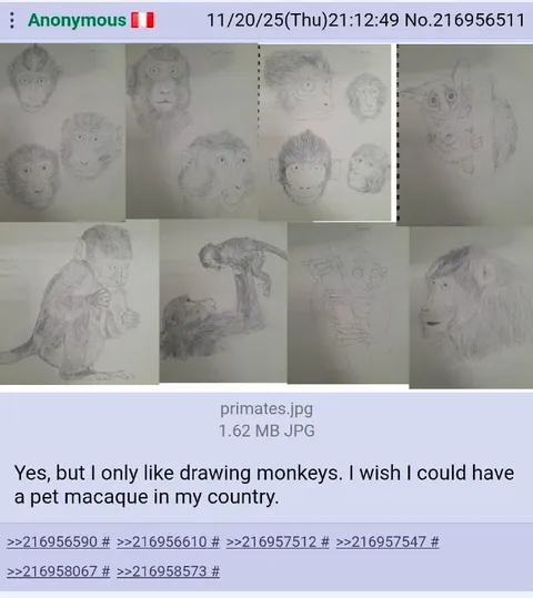 I Only Like Drawing Monkeys