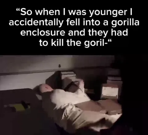 Accidentally Fell Into a Gorilla Enclosure