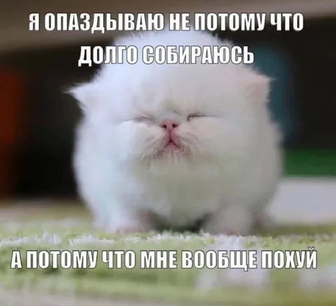 Мне вообще похуй на опоздание