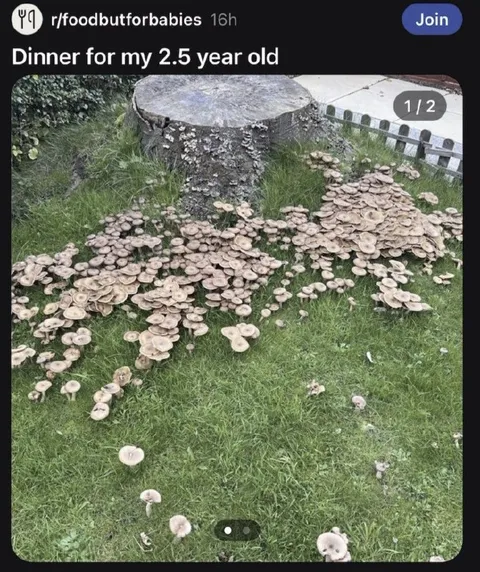 Dinner for My 2.5-Year-Old