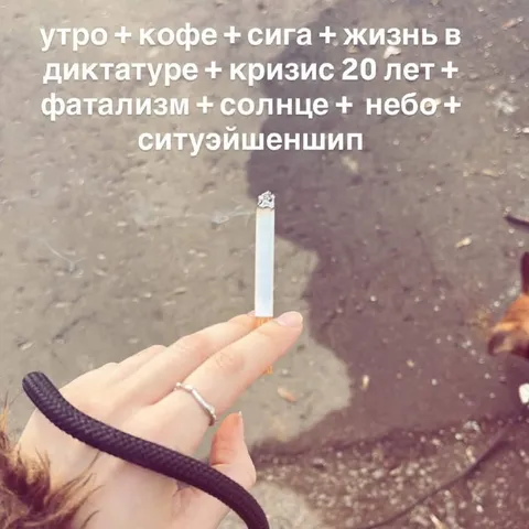 Утро в ситуэйшеншипе