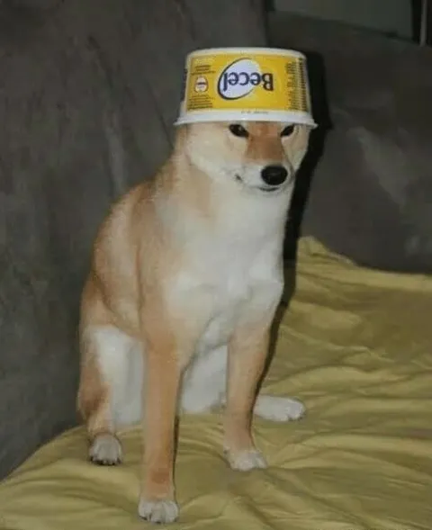 Собака в ведёрке Becel