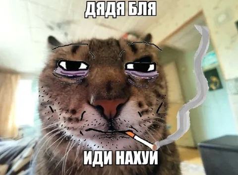 Дядя бля, иди нахуй