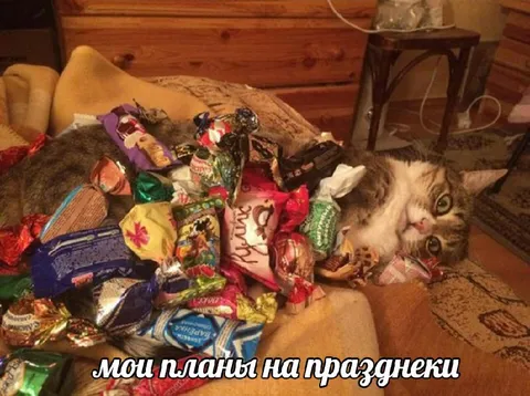 Мои планы на праздники
