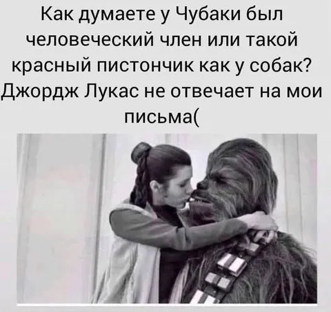 Чубакка и человеческий член