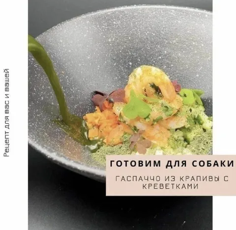 Гаспачо для собаки