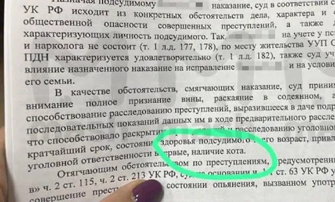 Наличие кота как смягчающее обстоятельство