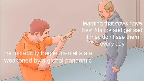 Fragile Mental State Meets Cow Friendship